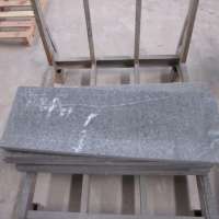 Professional supplier of anti slip Black granite stairs outdoor with low price